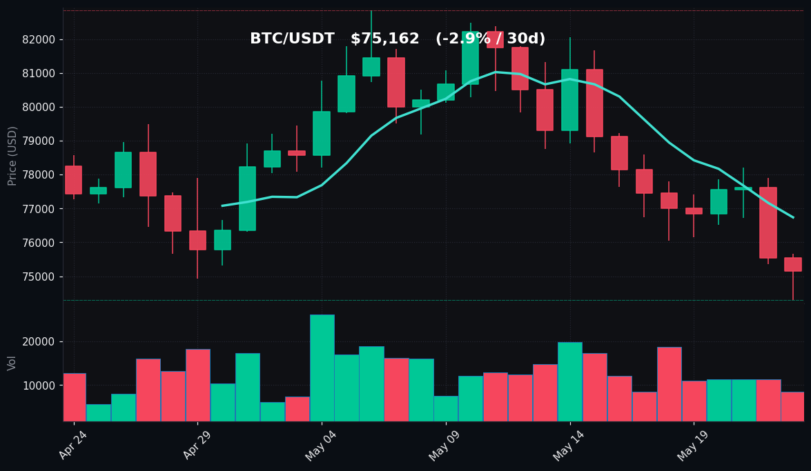BTC 30 日蜡烛图