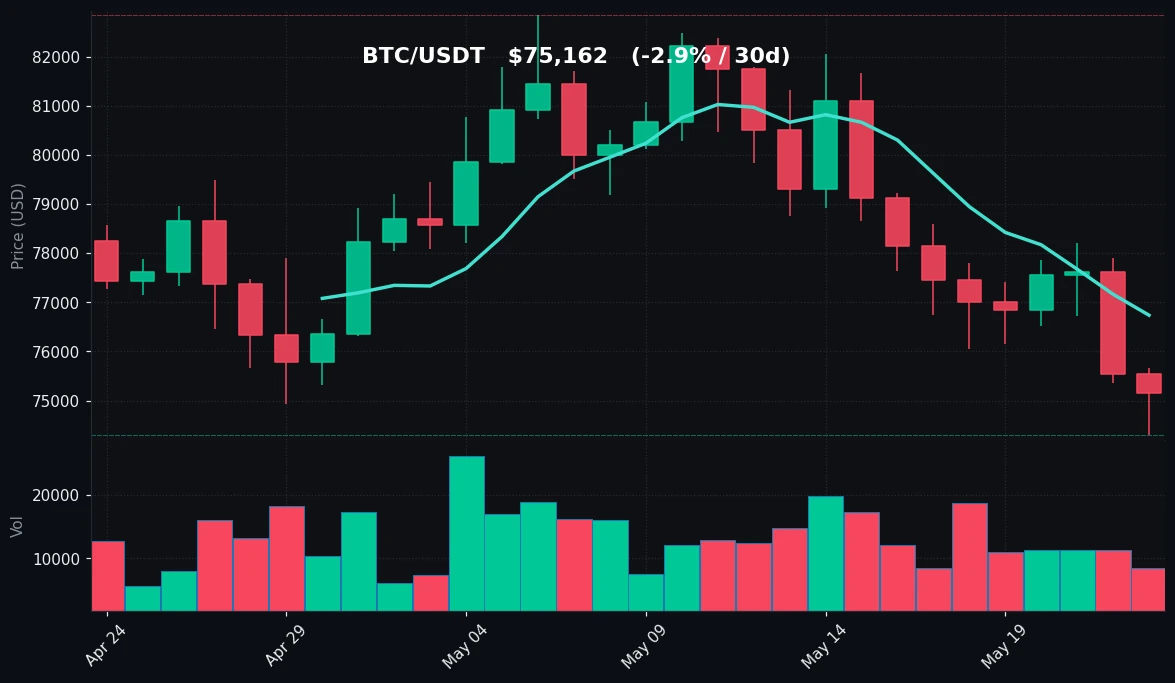 BTC 30 日蜡烛图