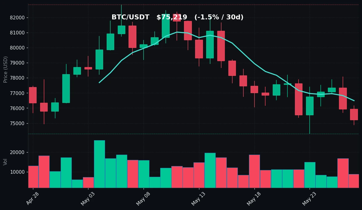 BTC 30-day Candles
