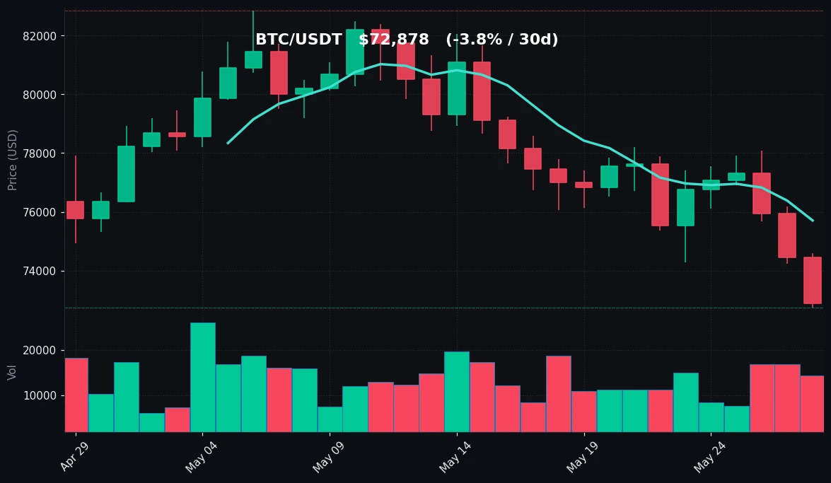 BTC 30 日蜡烛图