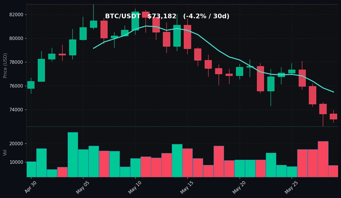 BTC 30 日蜡烛图
