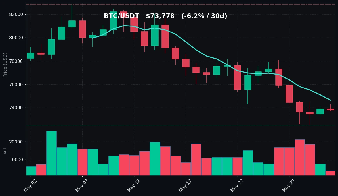 BTC 30 日蜡烛图