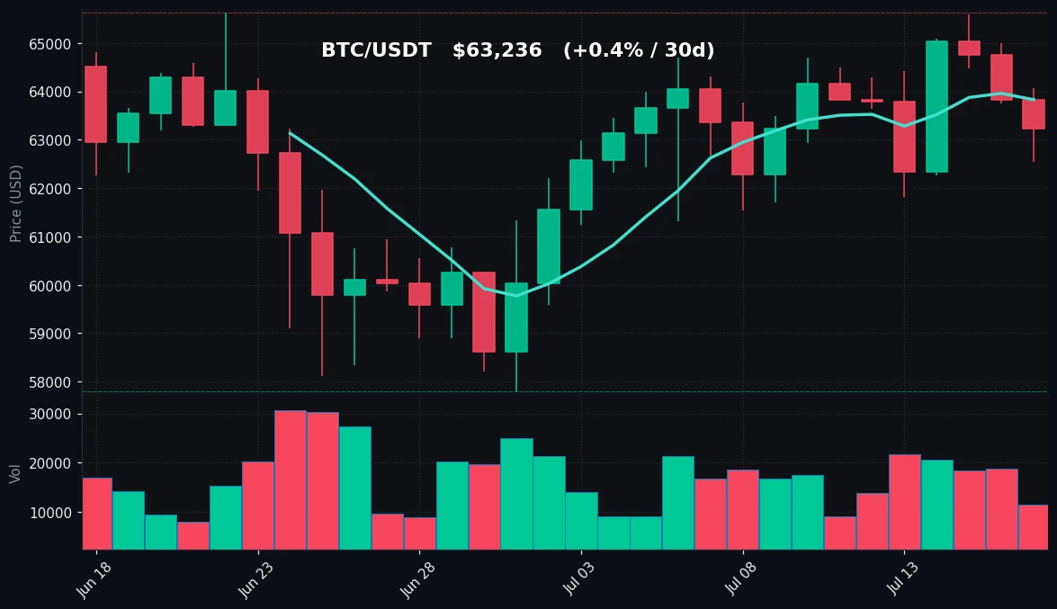 BTC 30 日蜡烛图