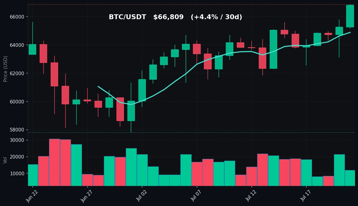 BTC 30 日蜡烛图