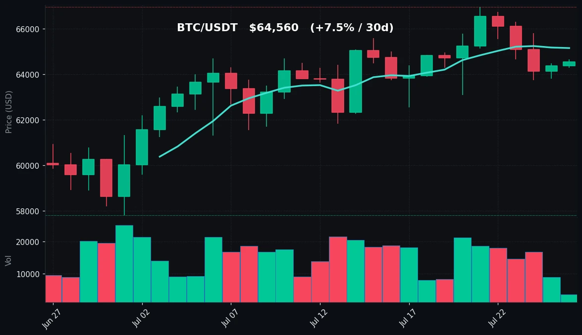 BTC 30 日蜡烛图